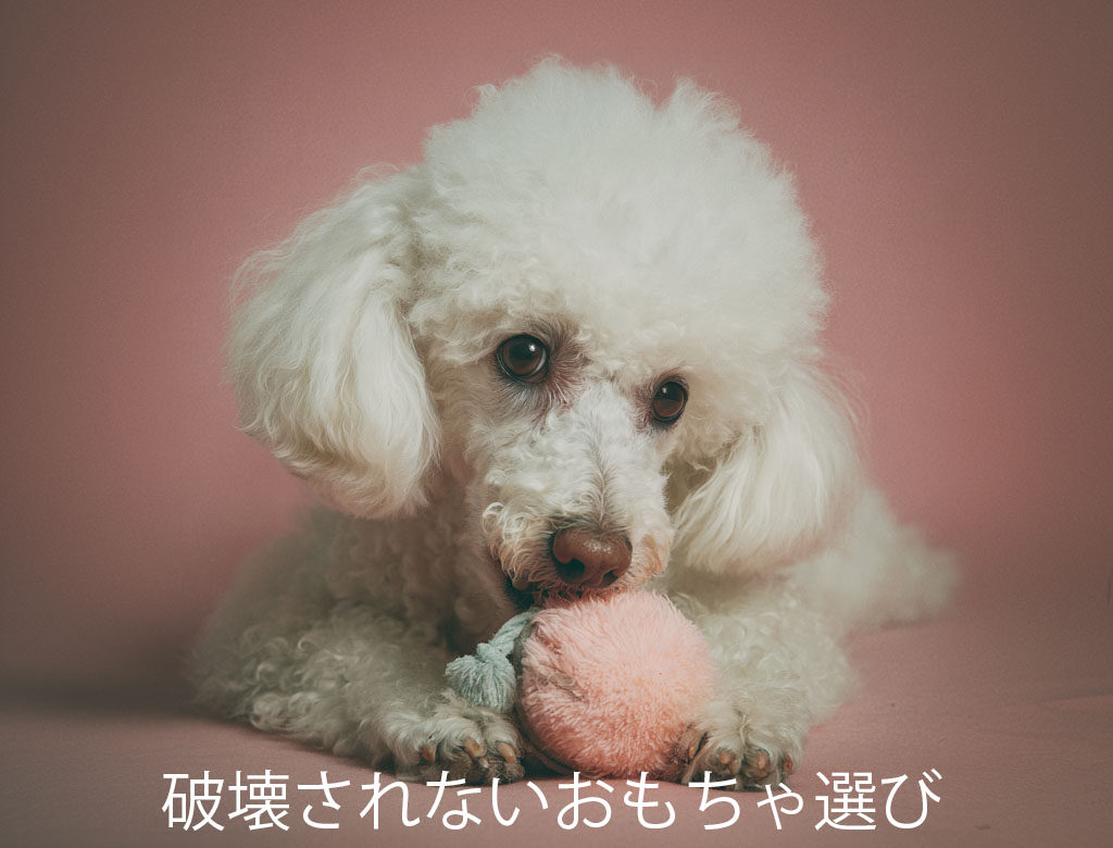 破壊されないおもちゃ